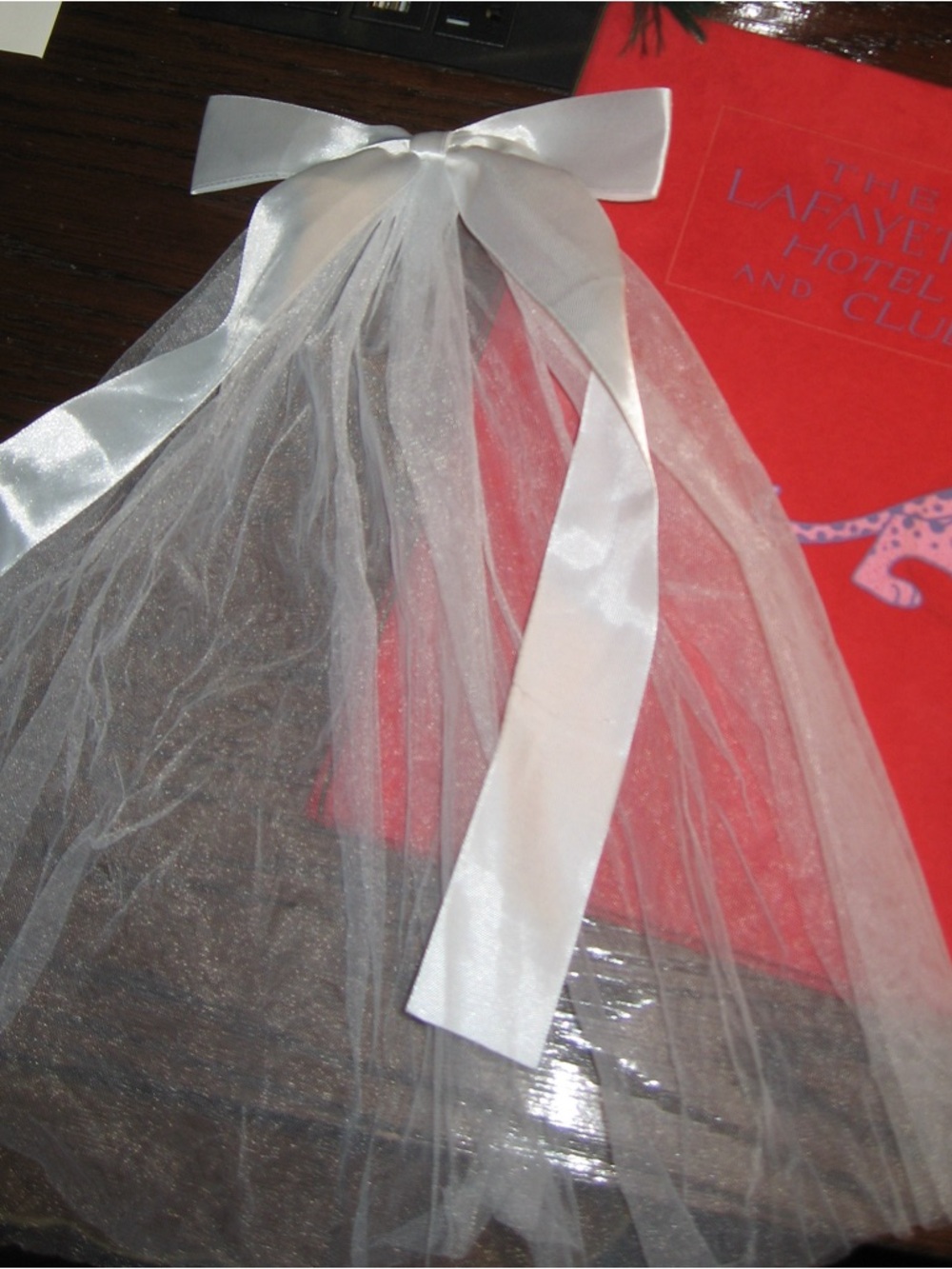 White Satin Bow Tulle Veil Accent